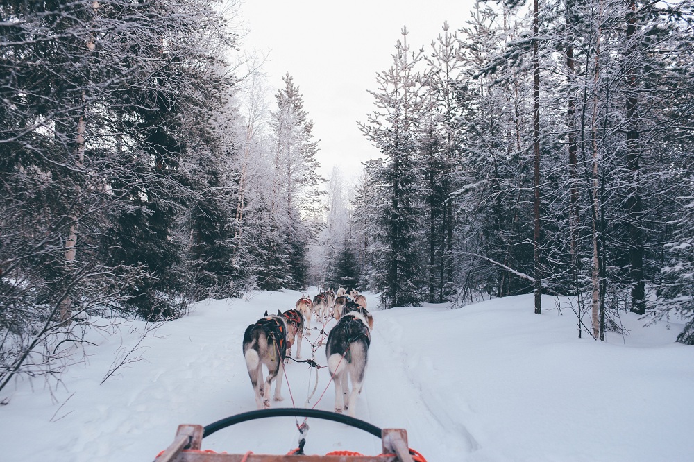 Sledding