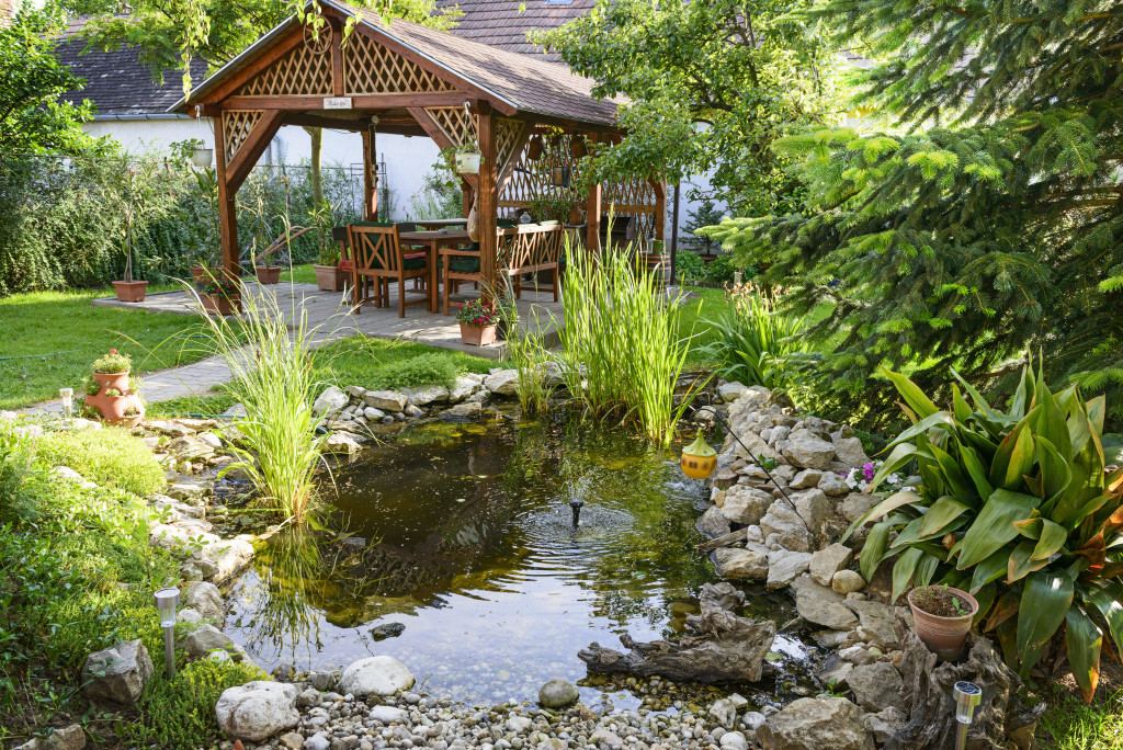 backyard water garden