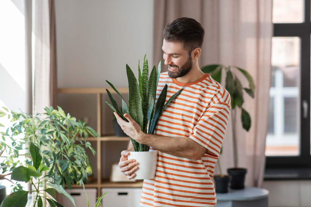 man holding a pot of snake plant