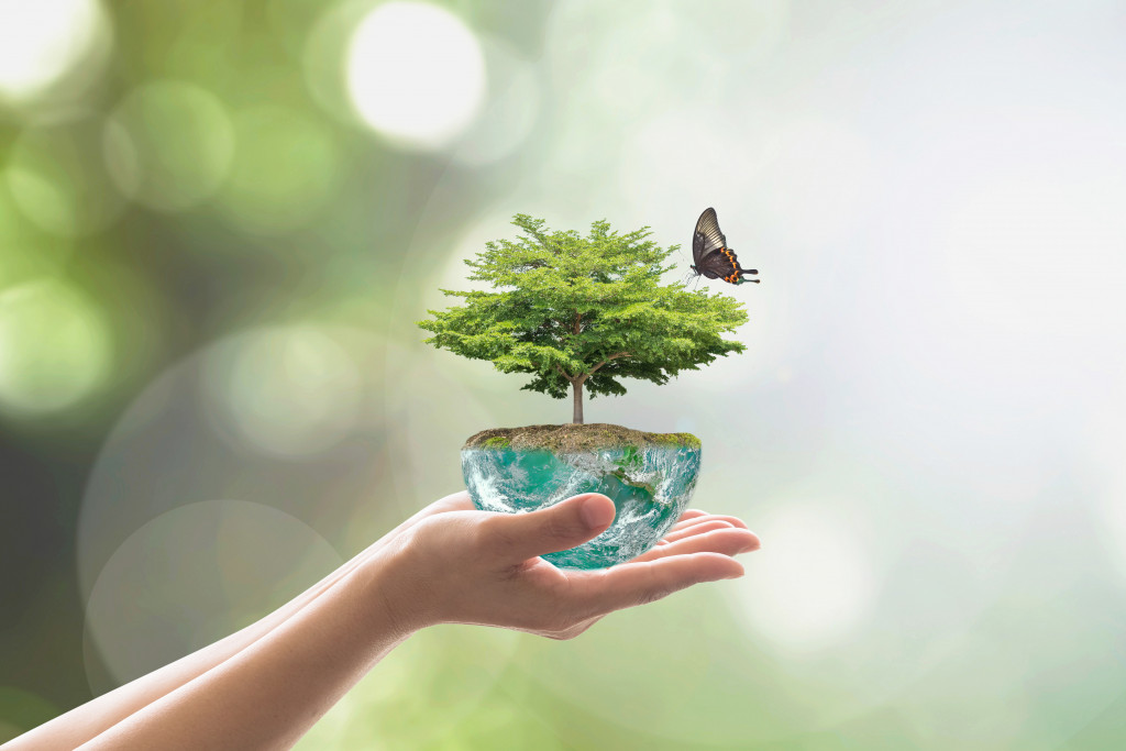 person's hand holding miniature earth with big tree and butterfly on top