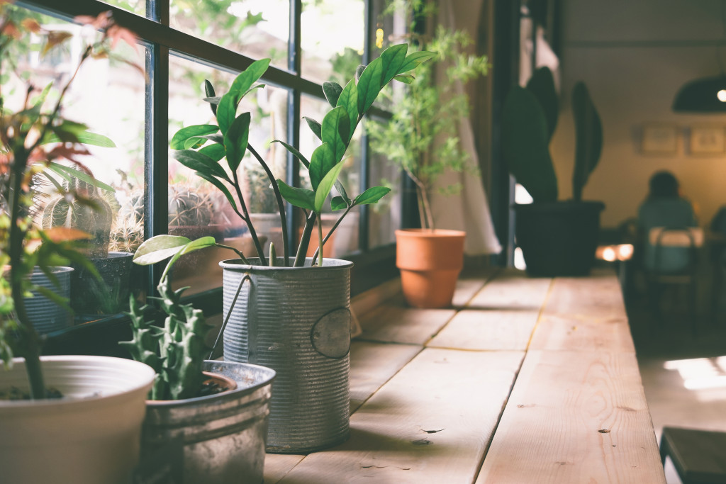 nature-inspired home with wooden features and plants alongside the window