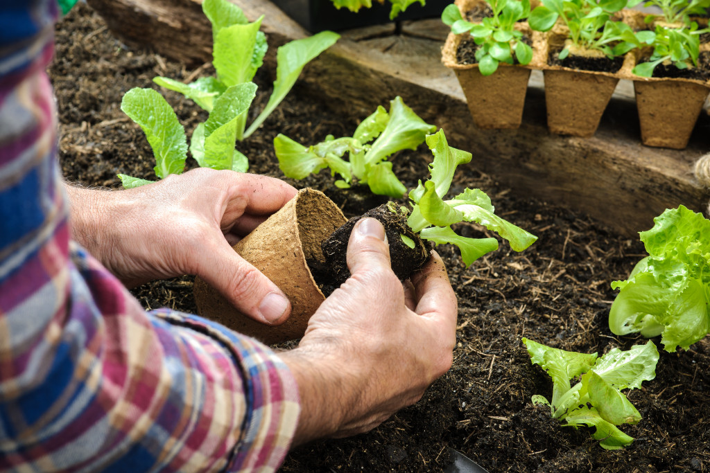 Gardening with small plants