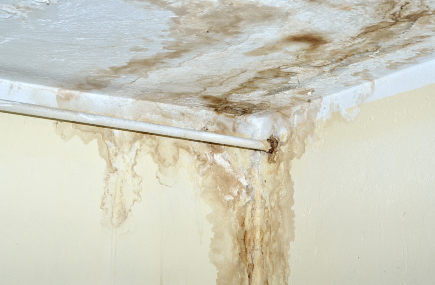molds in the ceiling