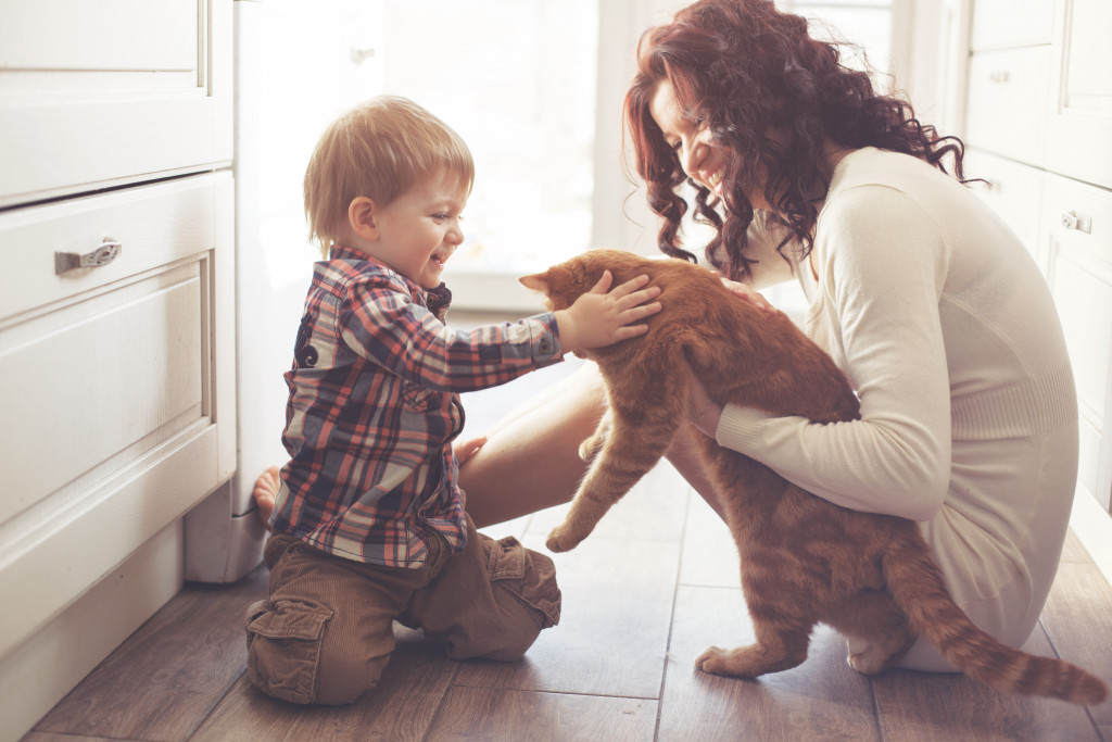 pet on the floor at the kitchen at home